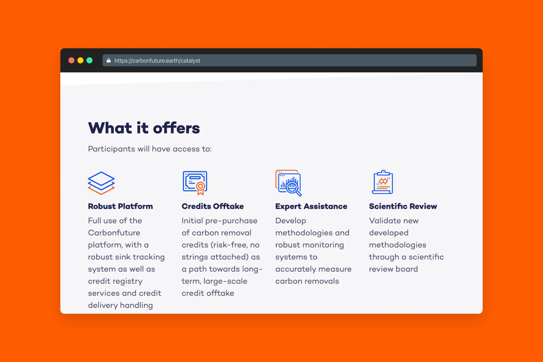 Website Section: What it offers