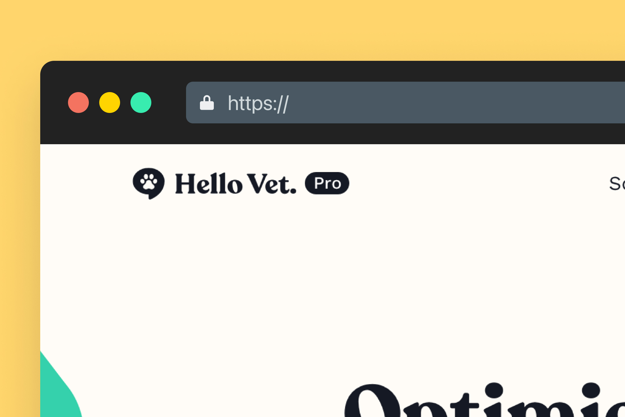 Hello vet web detail