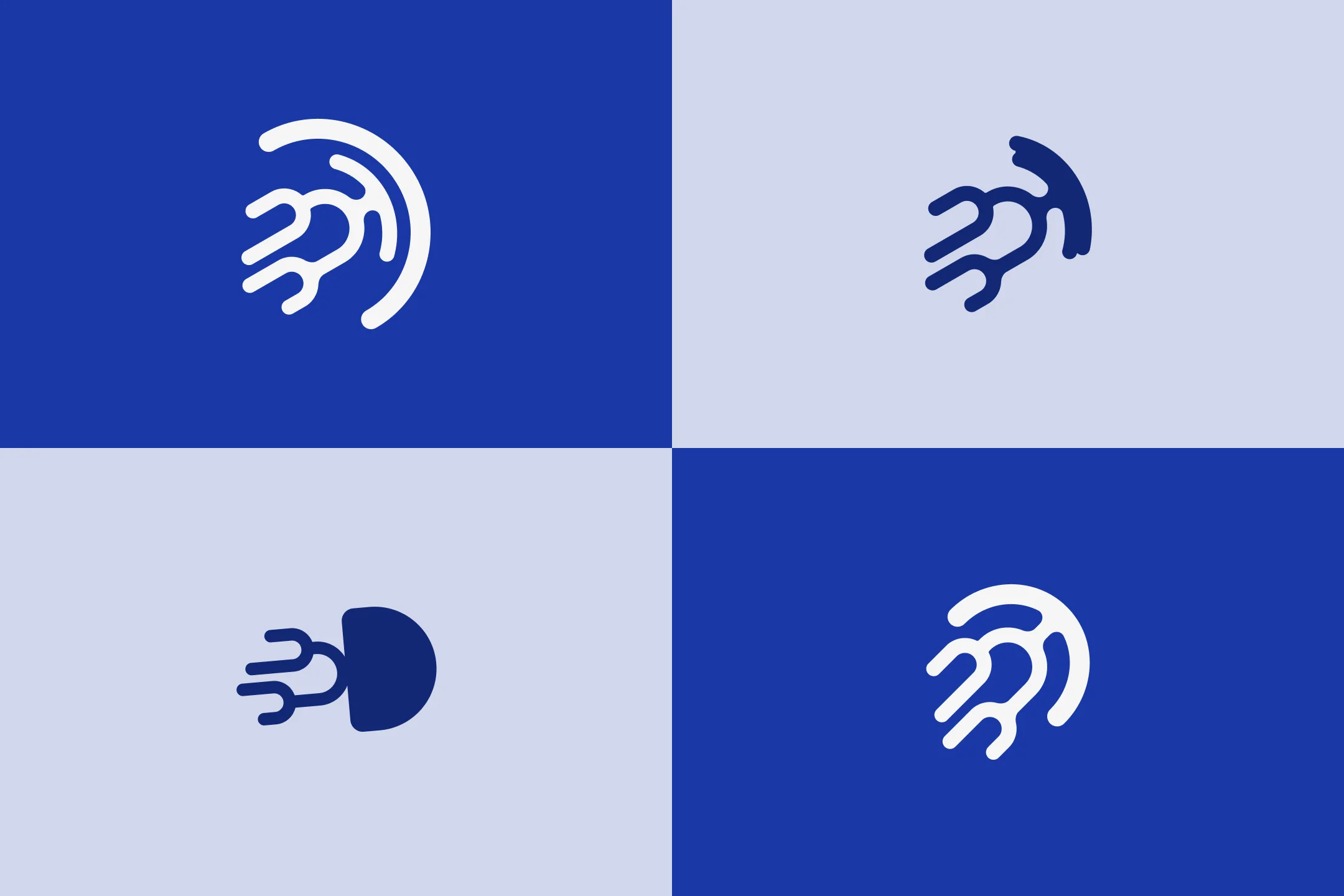 Lesenai concepts